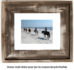 horse trail rides near me in Jensen Beach, Florida